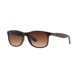 Ray-Ban napszemüveg RB4202 Andy 6073/13 55/17