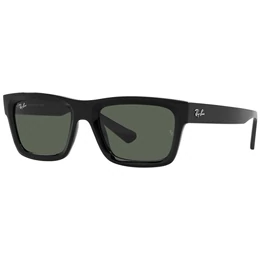 Ray-Ban Warren 4396 667771 57/20